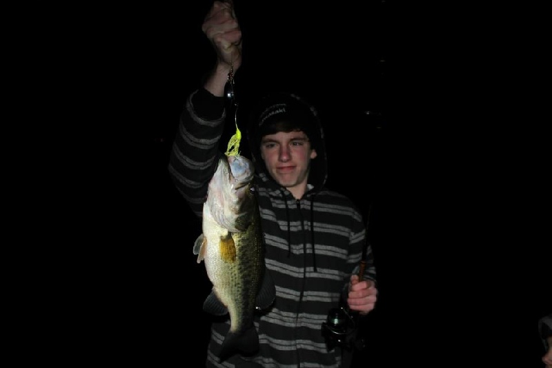 night bass