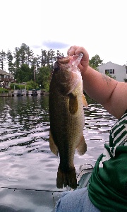 largemouth83